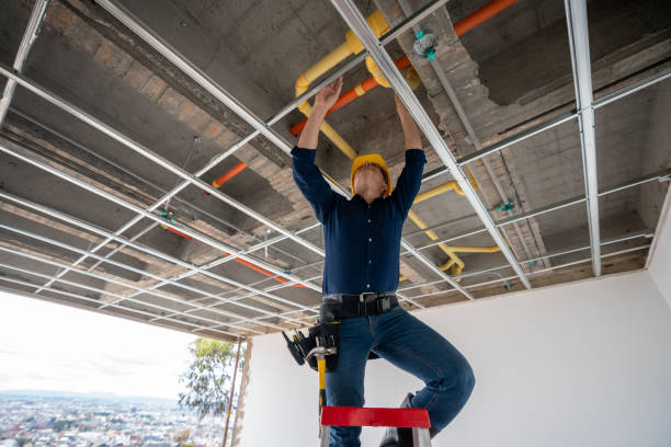 Best Leak Detection Services  in Fulda, MN